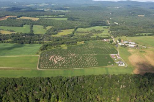 cornmaze19-1