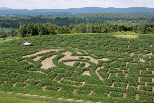 cornmaze19-13