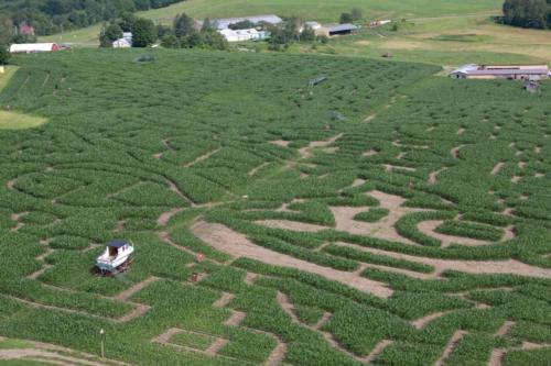 cornmaze19-16