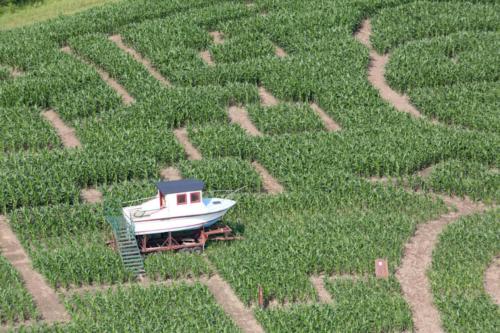 cornmaze19-18