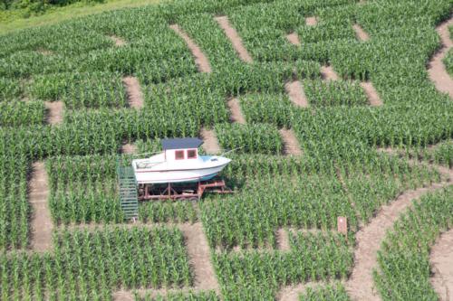 cornmaze19-19