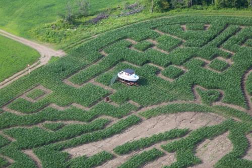 cornmaze19-22