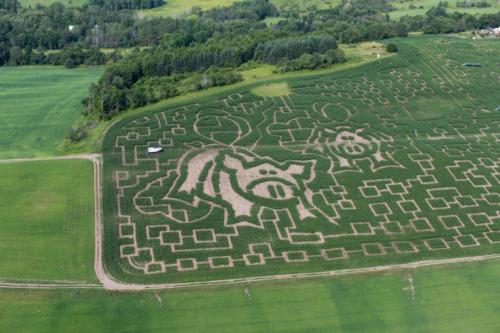 cornmaze19-23