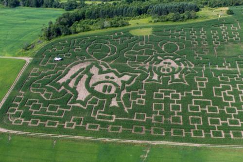 cornmaze19-24