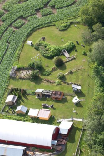 cornmaze19-29