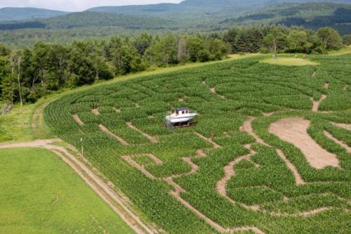 cornmaze19-30