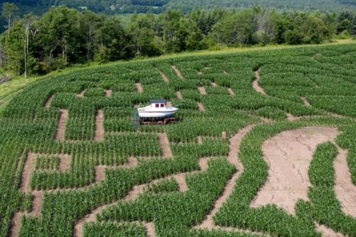 cornmaze19-31