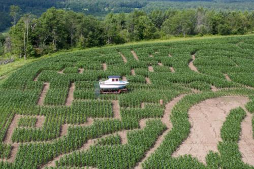 cornmaze19-32