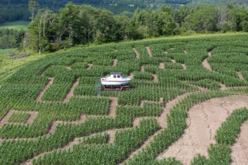 cornmaze19-33