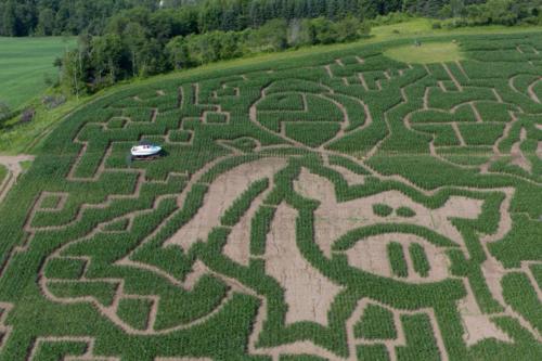 cornmaze19-4